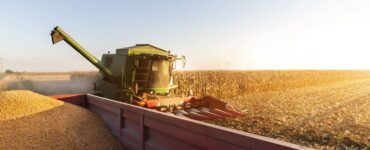 Colheita mecanizada