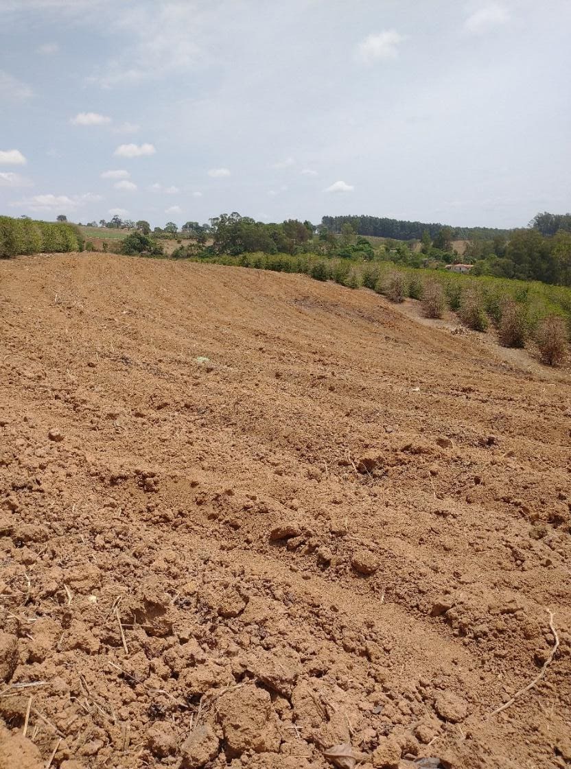 Solo sendo preparado
