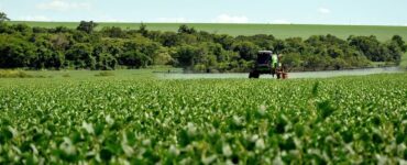 Fungicidas e inseticidas