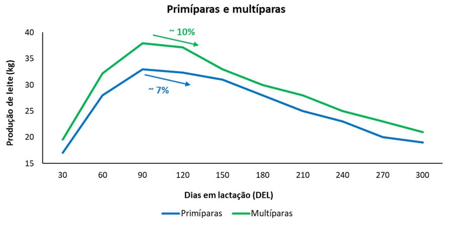 Curva de Lactação de Primíparas e Multíparas