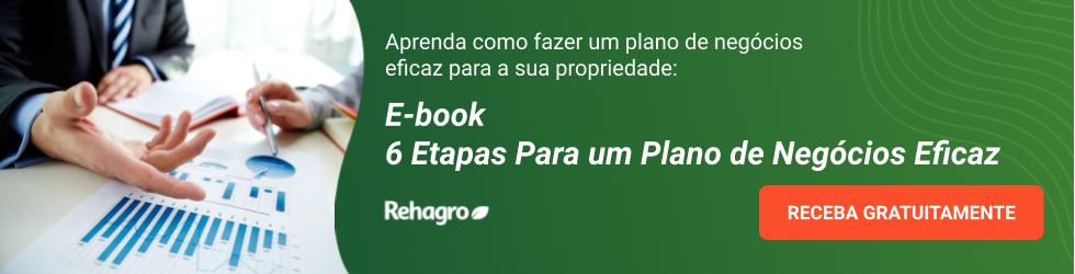 E-book Plano de Negócios Eficaz