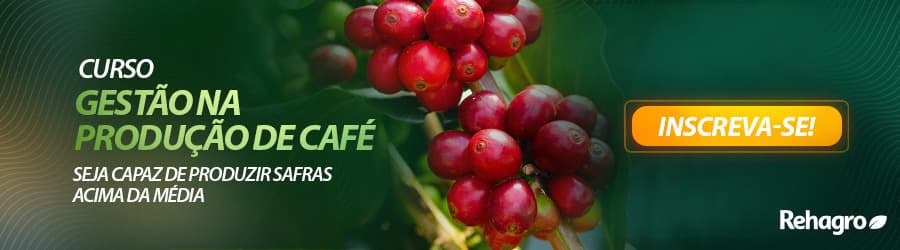 Curso Gestão na Produção de Café Curso Gestão na Produção de Café