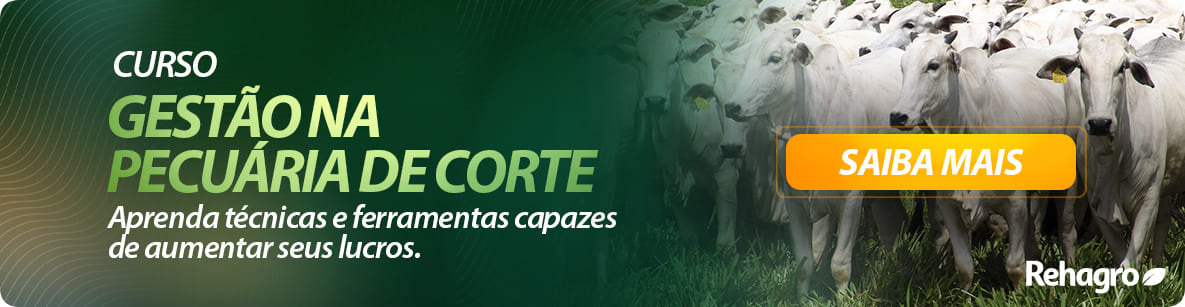 Curso Gestão da Pecuária de Corte