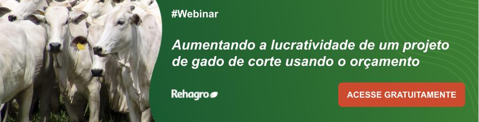 Webinar Aumentando a lucratividade de um projeto de gado de corte