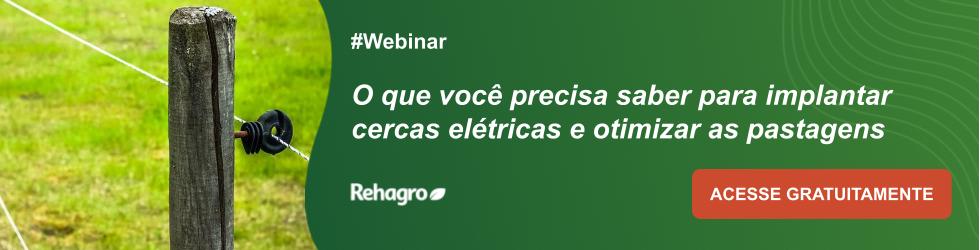 Webinar Cercas Elétricas