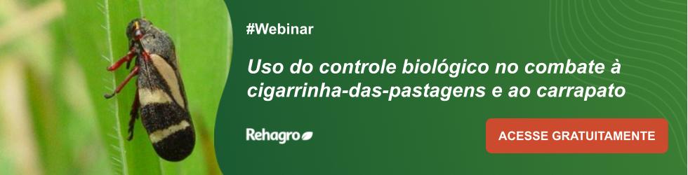 Webinar Cigarrinhas das pastagens