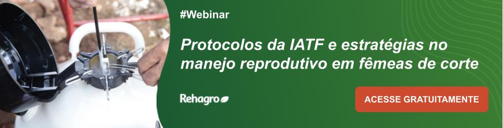 Webinar Protocolos da IATF