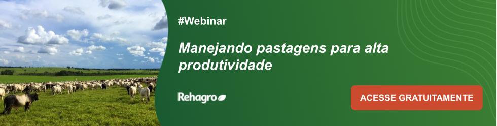 Webinar Manejando Pastagens