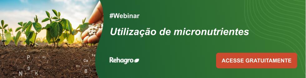 Webinar Utilização de micronutrientes