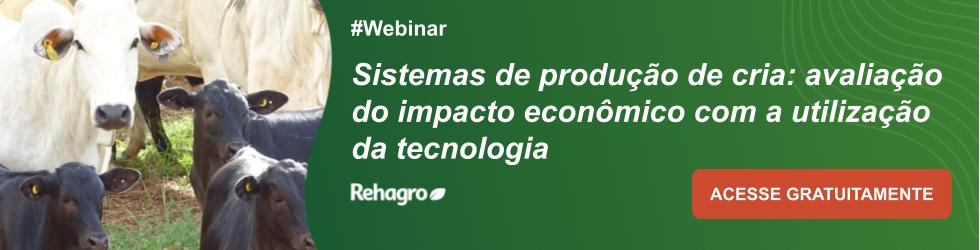 Webinar Sistema de Produção de Cria