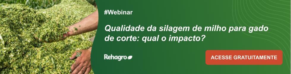 Webinar Impacto da qualidade da silagem de milho