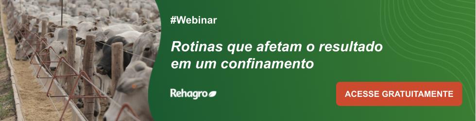 Webinar Rotinas que afetam o resultado em um confinamento