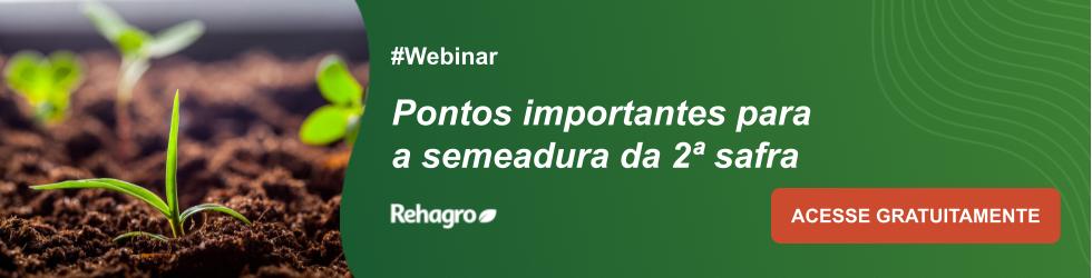 Webinar Pontos importantes para a semeadura da 2ª safra