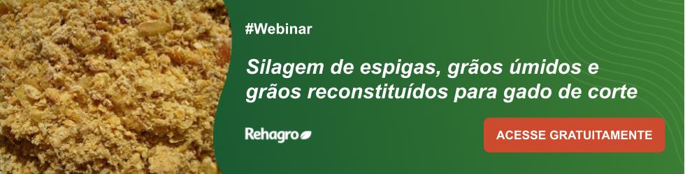 Webinar Silagem de espigas, grãos úmidos e grãos reconstituídos