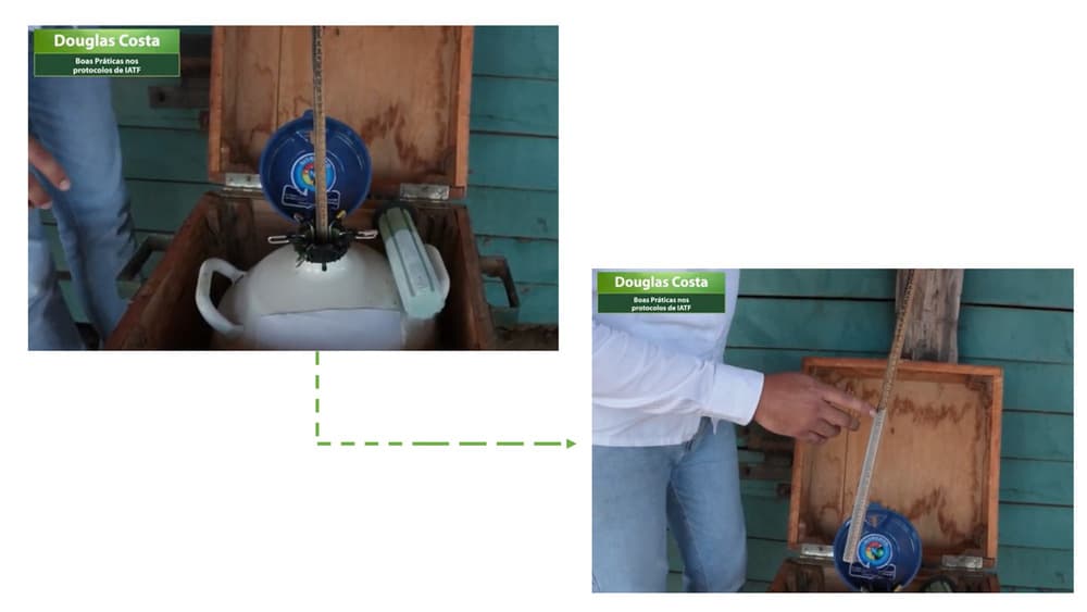 Medindo nitrogênio no botijão de sêmen