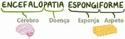 Encefalopatia Espongiforme Bovina (EEB)