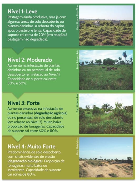 Níveis de degradação de pastagens