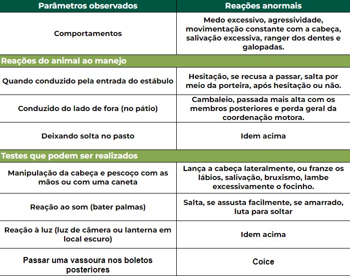 Sinais observados em bovinos para identificar vaca louca