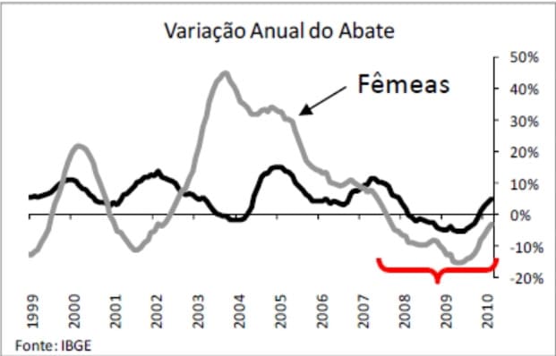 Variação anual do abate de gado de corte