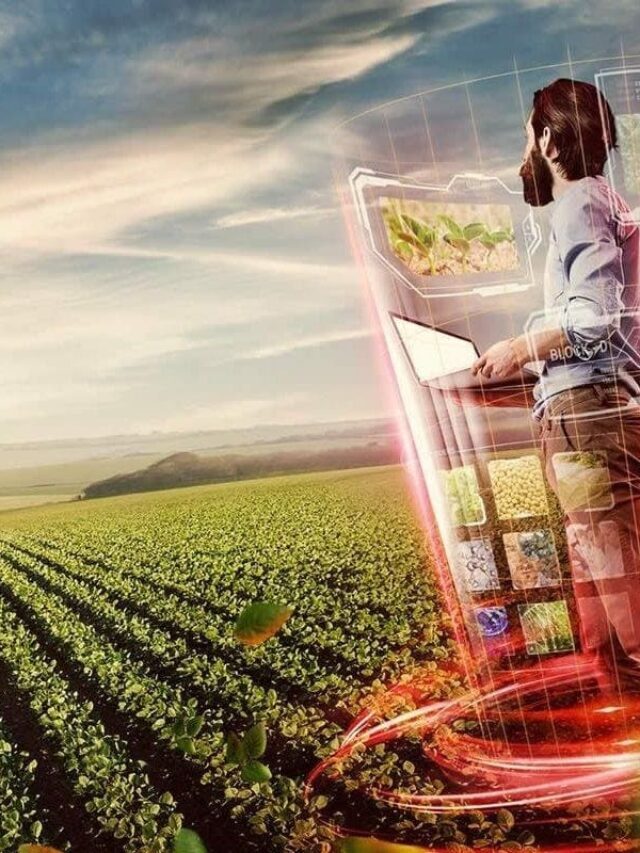 Gestão do Agronegócio: como se especializar?