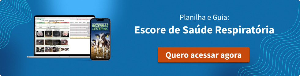 Baixar Planilha e Guia Escore de saúde respiratória de bezerras