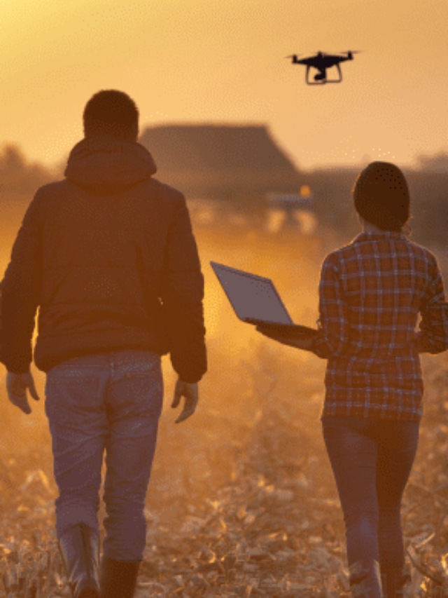 Gestão do Agronegócio: especialize-se e conecte-se ao mercado