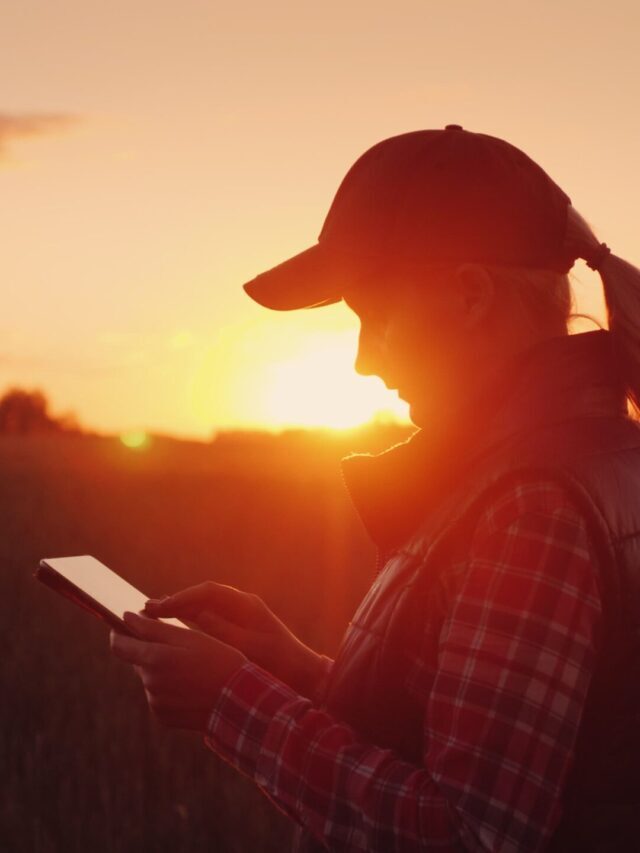 Mulheres no agro: saiba mais sobre a presença feminina no setor