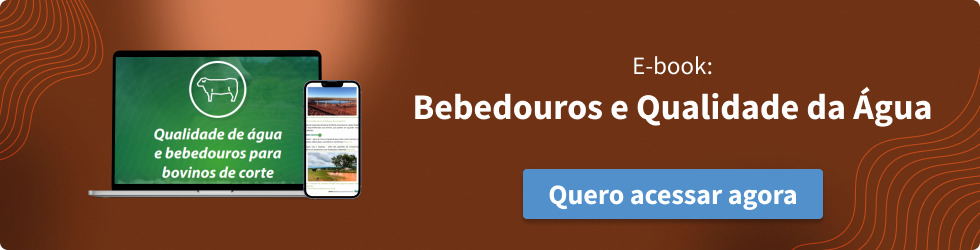 E-book Bebedouros para bovinos