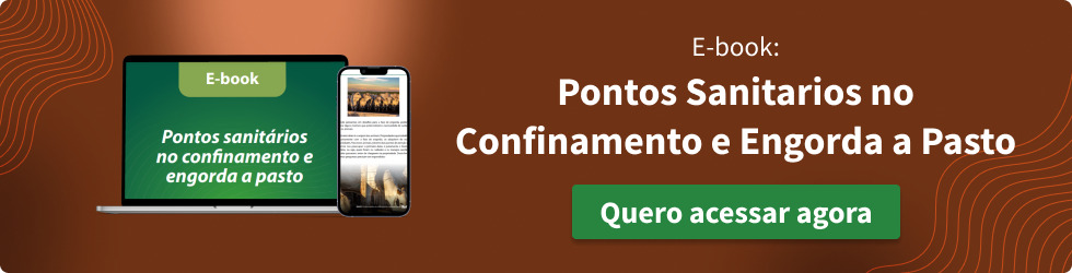 E-book Pontos sanitários do confinamento e engorda a pasto