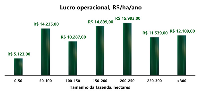 Lucro operacional de acordo com tamanho da fazenda