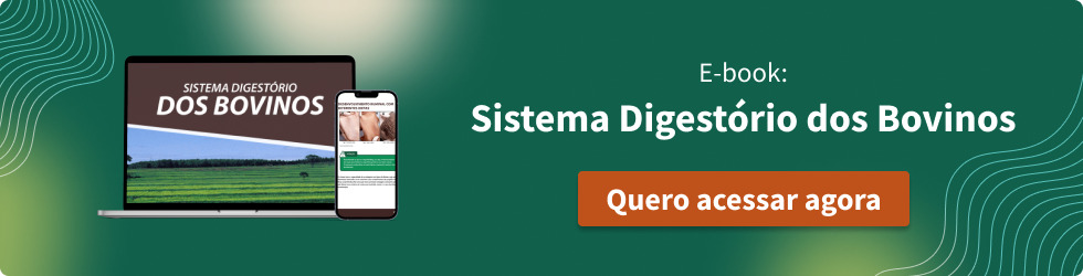 E-book Sistema Digestório dos bovinos