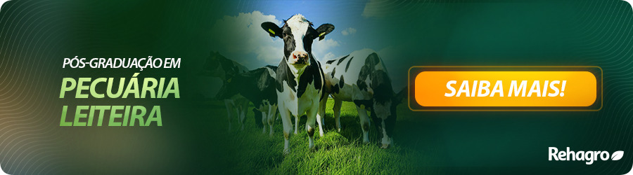 Pós-Graduação em Pecuária Leiteira