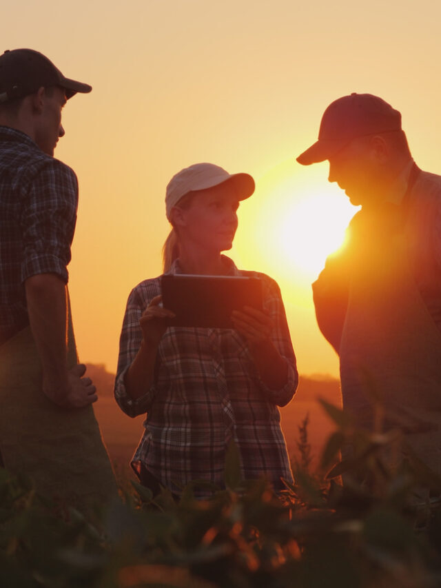 Como fazer sua equipe entender o que precisa ser feito?