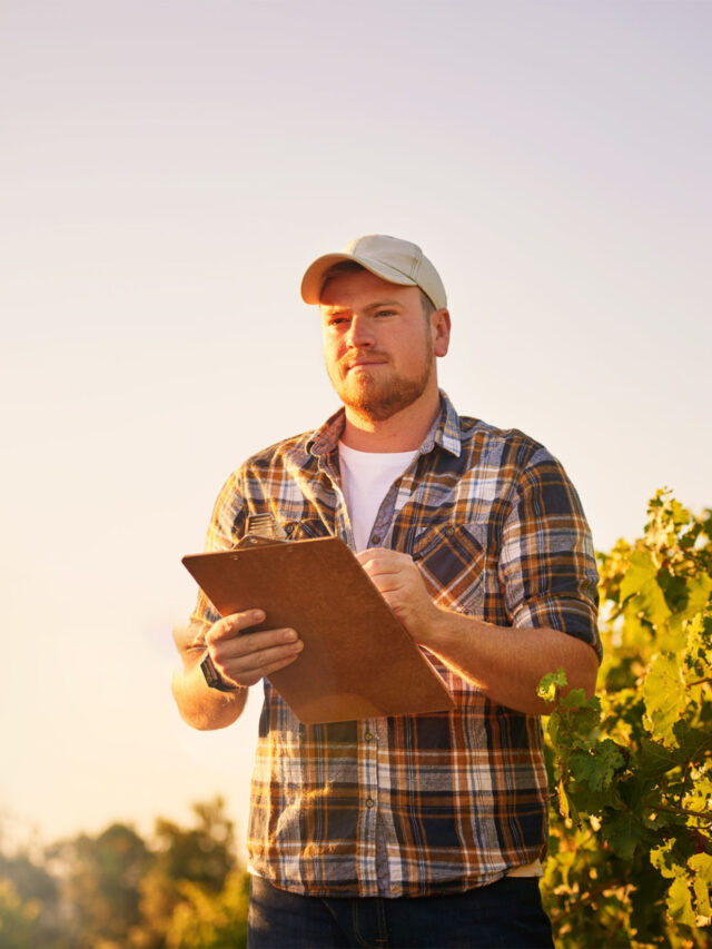 Graduação em Gestão do Agronegócio: conecte-se ao mercado!