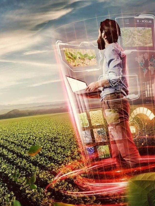 Graduação em Gestão do Agronegócio: pés no campo e olho no futuro