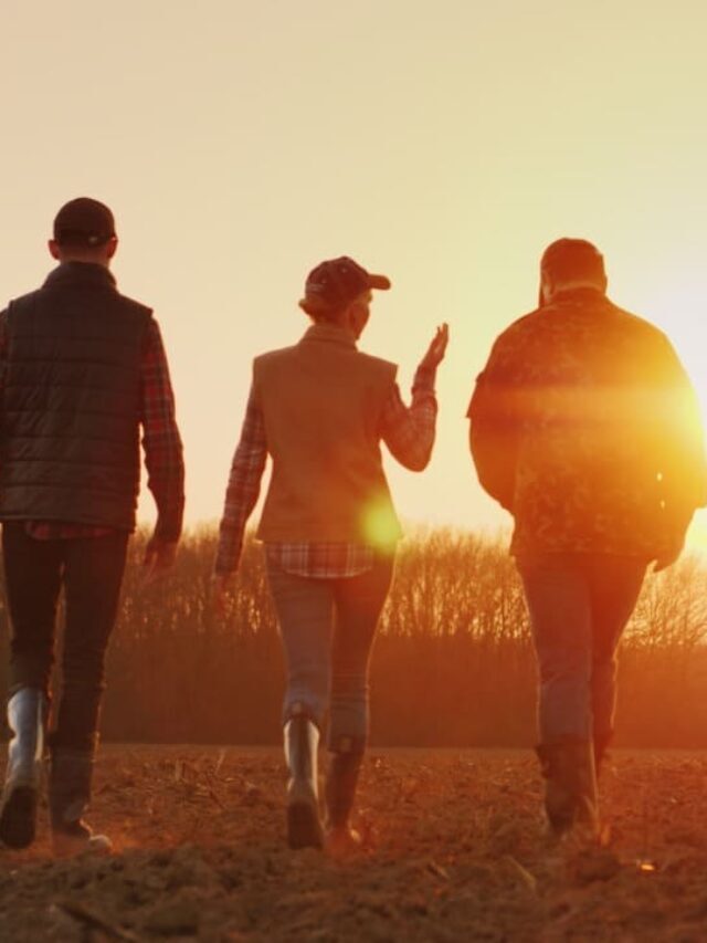 Gestão de Pessoas no Agronegócio: como investir e ter sucesso?