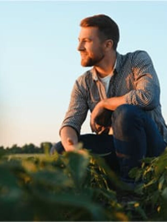 5 motivos para fazer graduação em gestão do agronegócio do Rehagro