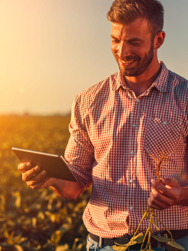 Onde o gestor do agronegócio pode atuar?