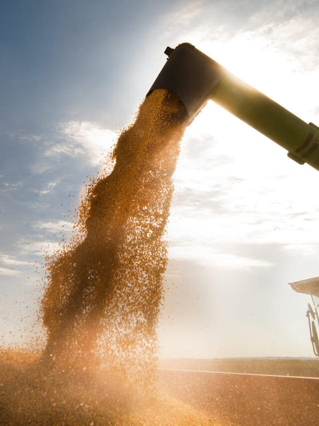 Perspectivas para o agronegócio brasileiro em 2023