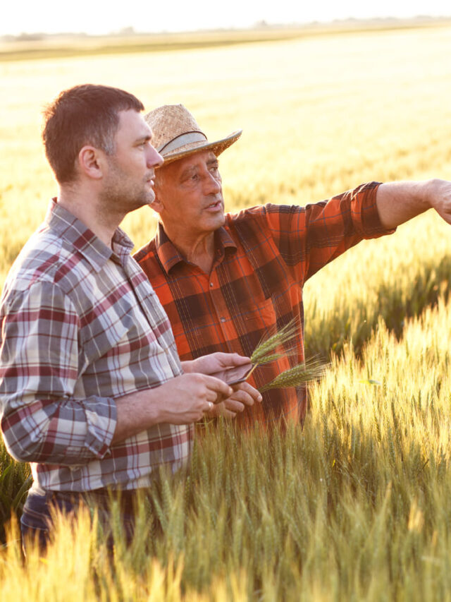 Sucessão familiar no Agronegócio: conheça oportunidades