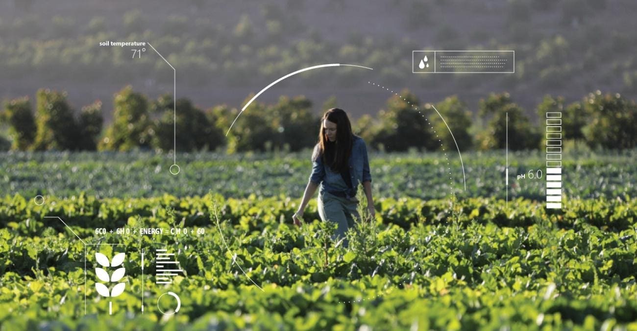Mulher em uma plantação