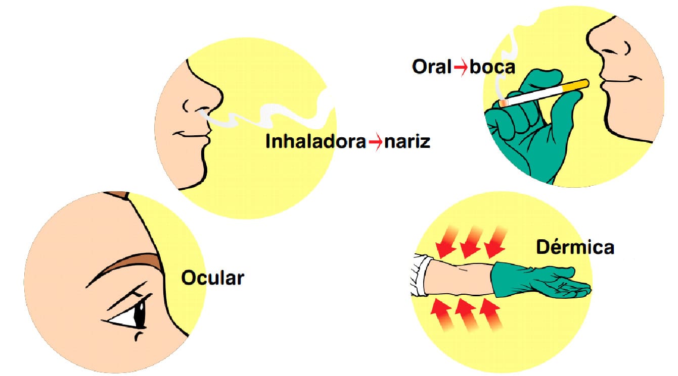 Vias de exposição aos defensivos agrícolas